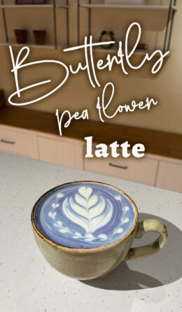 Latte Butterfly pea flower / Ice Latte Butterfly pea flower
